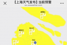 台风“竹节草”预计傍晚在浦东南部到奉贤一带再登陆，金山、奉贤暴雨橙警 ...